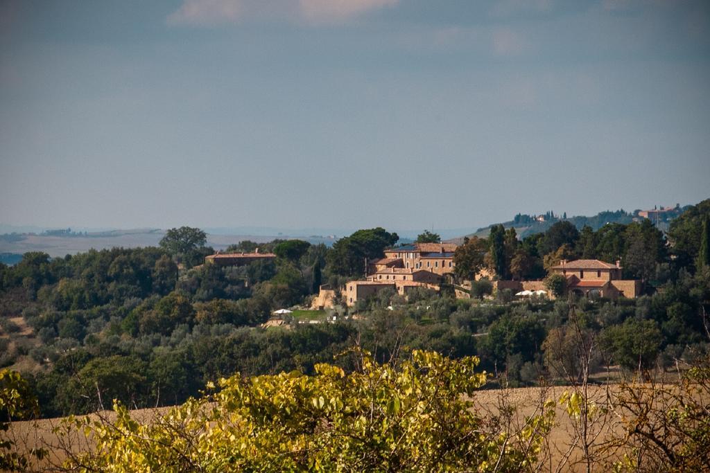 Borgo Sant'ambrogio - * Pienza
